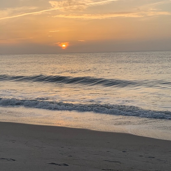 🚨🌊 🌹 🐟 Rose is LIVE -SHARE Show 🤩 LIKE TO BE NOTIFIED 🙏 🌊🌊 (tray open) - Picture 6 of 17